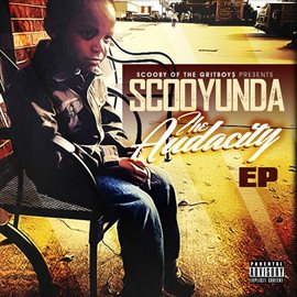 Cover image for Scooyunda The Audacity