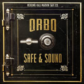 Cover image for Safe & Sound