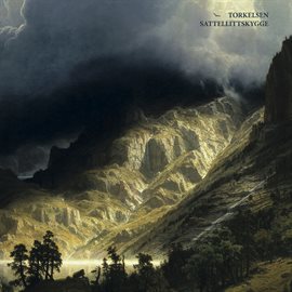 Cover image for Sattellittskygge