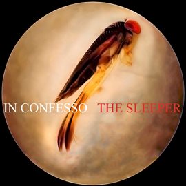 Imagen de portada para The Sleeper
