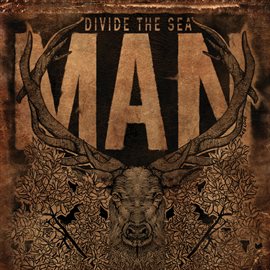 Cover image for Man