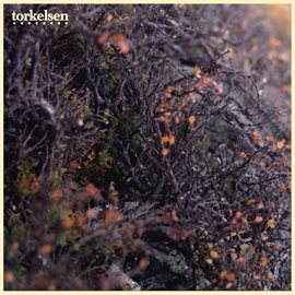 Cover image for Torkelsen