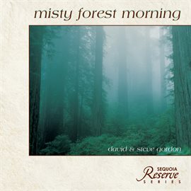 Cover image for Misty Forest Morning
