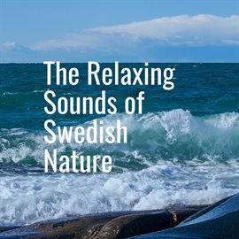 Cover image for Calming Ocean Waves