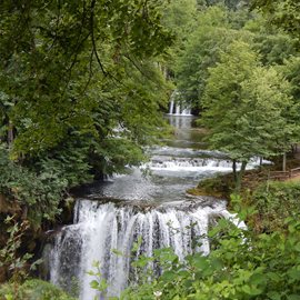 Cover image for A Gentle Waterfall