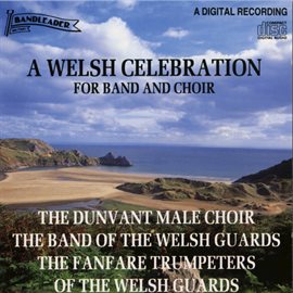 Cover image for A Welsh Celebration