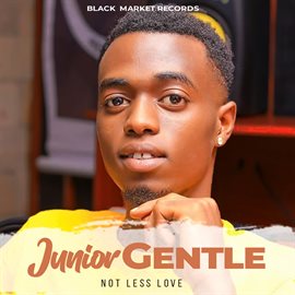 Cover image for Not Less Love