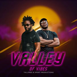 Cover image for Valley of Vibes