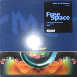Cover image for Free Space
