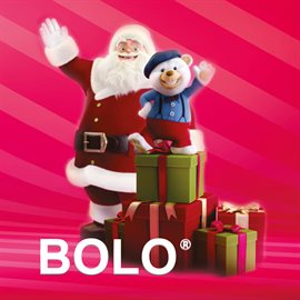 Cover image for Bolo