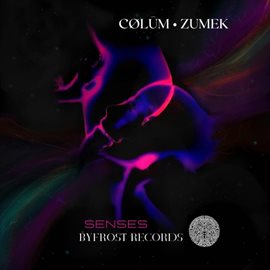 Imagen de portada para SENSES