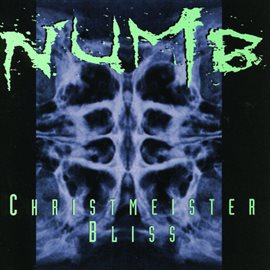 Cover image for Christmeister Bliss