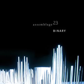 Cover image for Binary