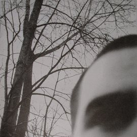 Imagen de portada para Recluse