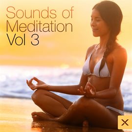 Cover image for Sounds of Meditation - Vol. 3