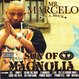 Cover image for Son Of Magnolia