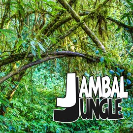 Cover image for Jambal Jungle