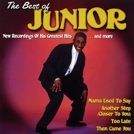 Cover image for The Best of Junior - Mama Used to Say