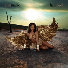 Cover image for Hate Love