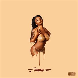 Cover image for Chocolit