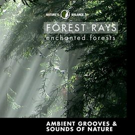 Cover image for Forest Rays: Ambient Grooves & Sounds Of Nature
