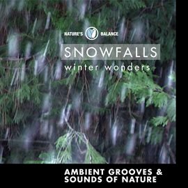 Cover image for Snow Falls: Ambient Grooves & Sounds Of Nature