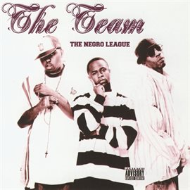 Cover image for The Negro League