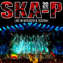 Imagen de portada para Live In Woodstock Festival