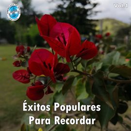 Cover image for Éxitos Populares para Recordar, Vol. 1