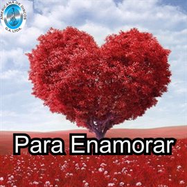 Cover image for Para Enamorar