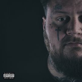 Cover image for A Beautiful Disaster