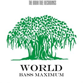 Cover image for Bass Maximum