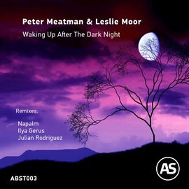 Cover image for Waking Up After The Dark Night