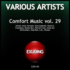Cover image for Comfort Music, Vol. 29