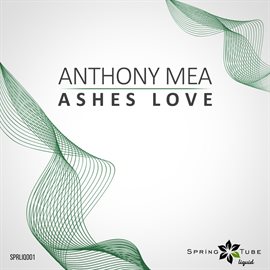 Cover image for Ashes Love
