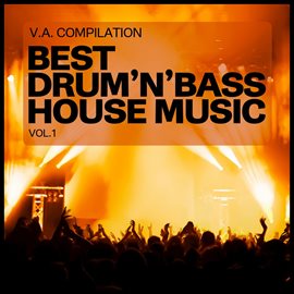 Cover image for Best Drum'N'Bass House Music