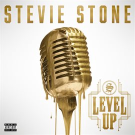 Cover image for Level Up