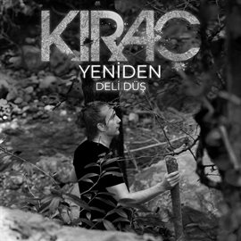 Cover image for Yeniden Deli Düş