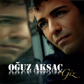 Imagen de portada para Giz