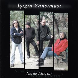 Cover image for Nerde Ellerin