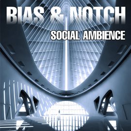 Cover image for Social Ambience