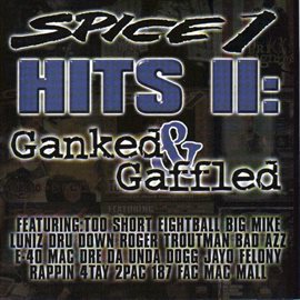 Cover image for Hits II