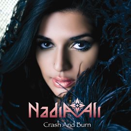 Imagen de portada para Crash And Burn
