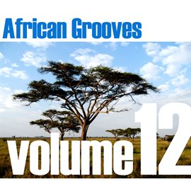 Cover image for African Grooves Vol.12