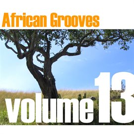 Cover image for African Grooves Vol.13