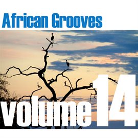 Cover image for African Grooves Vol.14