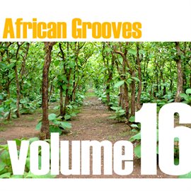 Cover image for African Grooves Vol.16