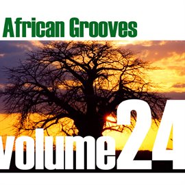 Cover image for African Grooves Vol.24