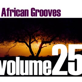 Cover image for African Grooves Vol.25