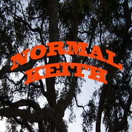 Cover image for Normal Music
